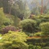 The Butchart sunken garden on Vancouver Island