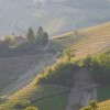 Countryside around the town of Alba, Piedmont region