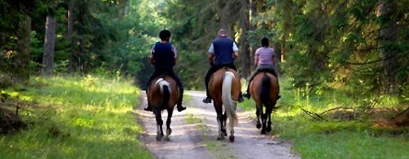 Faire de l'équitation dans la région